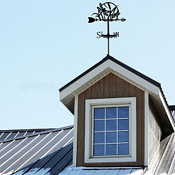 Windrichtungsanzeiger aus Eisen&nbsp;AJEW-WH0265-016