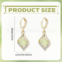 1 пара серег-колец из сплава&nbsp;EJEW-LP0008-041