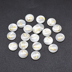 Cabochon shell&nbsp;SSHEL-E568-A02
