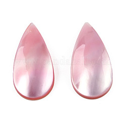 Натуральный турбокорнулус/кабошоны из ракушек SSHEL-N003-156B