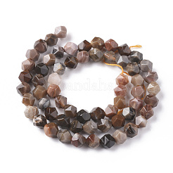 Природные окаменелое дерево бисер пряди G-F668-02-6mm