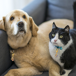 Подвесные украшения в виде спиральной клетки из драгоценных камней&nbsp;HJEW-PH01622