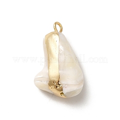 Подвески из натуральных ракушек trochus BSHE-E025-01LG