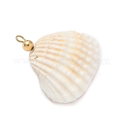 Подвески из натуральной ракушки и круглого стекла&nbsp;PALLOY-MZ00912-06
