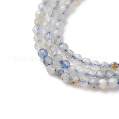 Природные Аквамарин бисер нитей&nbsp;LS-G-RM2025-A46-2mm-B