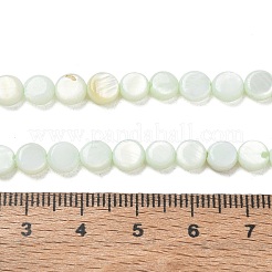 Hebras de cuentas de moneda de concha de agua dulce natural&nbsp;SH-CBACA76-17C