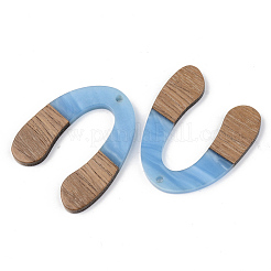 Подвески из непрозрачной смолы и ореха&nbsp;RESI-S389-058A-C01