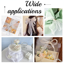 2 рулон полиэстеровой шифоновой ленты DIY-CP0010-71