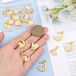 16шт 4 стиля стеклянные подвески FIND-CA0006-77