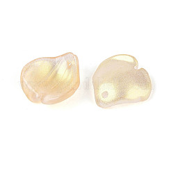 Подвески из прозрачного стекла с лепестками&nbsp;GLAA-T030-05D