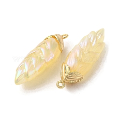 Pendenti in resina placcatura iridescente arcobaleno&nbsp;RESI-C047-03C-G
