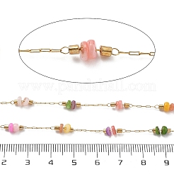 Цепи из ракушек и овальных бусин из нержавеющей стали 304 CHS-K021-09G-02