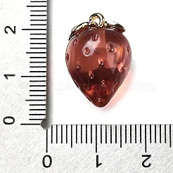 Латунные подвески из акрила OACR-R006-03G-02