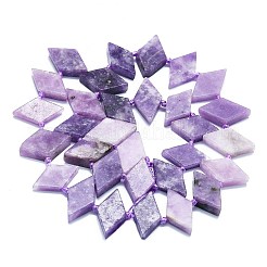 Натуральные лепидолитовые бусины G-K245-E02-01