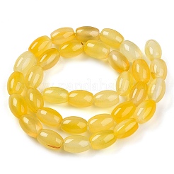 Окрашенные естественный агат бисер пряди G-T141-15B-02