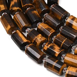 Природных тигровый глаз бисер нитей&nbsp;G-G453-E01-10x14mm