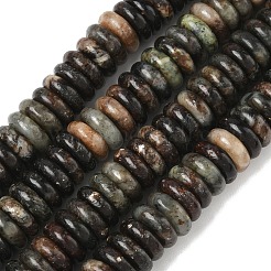 Природного биотита нитей бисера G-B155-B04-4x10mm