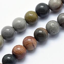 Fili di perle di agata / diaspro oceaniche naturali, tondo, 10mm, Foro: 1 mm, circa 37pcs/filo, 15.3 pollice (39 cm)
