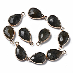 Natural Labradorite Pendants, Faceted, with Golden Plated Brass Edge and Loop, Teardrop, 16.5x9x4.5mm, Hole: 1.6mm