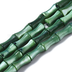 Hebras naturales de cuentas de concha de agua dulce, teñido, palo de bambú, verde oscuro, 8x4.5x4.5mm, agujero: 0.7 mm, aproximamente 45~48 pcs / cadena, 14.61~15.51 pulgada (37.1~39.4 cm)
