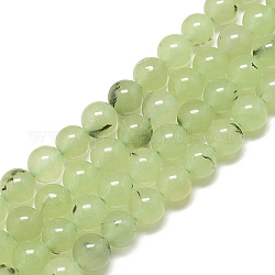 Chapelets de perles en préhnite naturelle, teinte, ronde, 6mm, Trou: 1mm, Environ 61~62 pcs/chapelet, 14.9~15.2 pouce