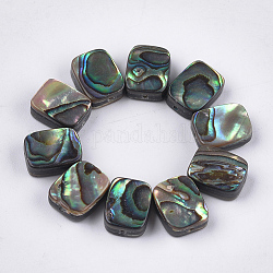Perles coquille d'ormeau / coquille de paua, rectangle, colorées, 10x8x3.5~4mm, Trou: 1mm