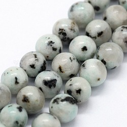 Fili di perle di diaspro / kiwi di sesamo naturale, tondo, 10mm, Foro: 1 mm, circa 37pcs/filo, 14.76 pollice (37.5 cm)