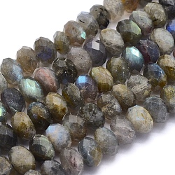 Natural Labradorite Beads Strands, Rondelle, Faceted, 9~10x6mm, Hole: 1mm, about 64pcs/strand, 15.7 inch(40cm)