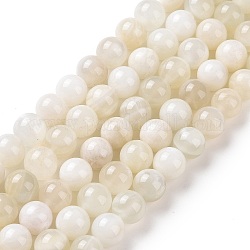 Natürlichen weißen Mondstein Perlen Stränge, Runde, 8 mm, Bohrung: 1 mm, ca. 47 Stk. / Strang, 15.55 Zoll (39.5 cm)