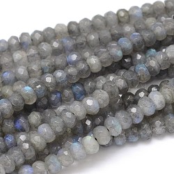 Natural Labradorite Rondelle Bead Strands, Grade AA, Faceted, 6x4mm, Hole: 1mm, about 104pcs/strand, 16 inch