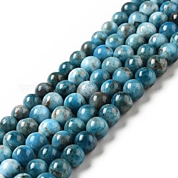 Chapelets de perles en apatite naturelle, ronde, 7~7.5mm, Trou: 1mm, Environ 59 pcs/chapelet, 14.96 pouce (38 cm)