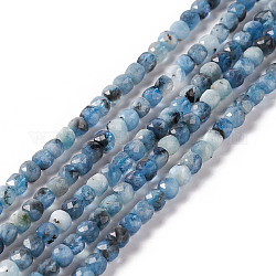 Brins de perles d'aigue-marine bleu diable naturel, facette, cube, 4x4mm, Trou: 0.8mm, Environ 97 pcs/chapelet, 15.35 pouce (39 cm)
