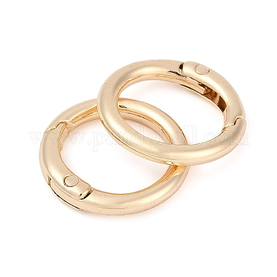 Застежки из сплава с пружинным затвором FIND-H012-05KCG-1