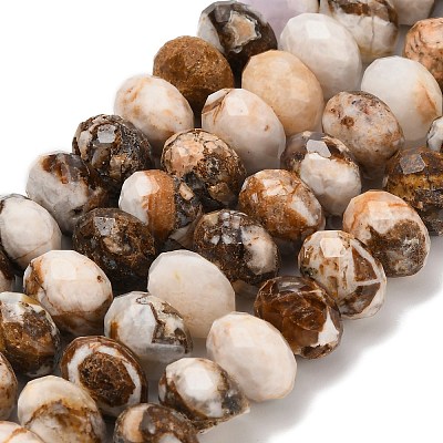 Природные окаменелое дерево бисер пряди&nbsp;G-C259-A06-8x12mm-02-1