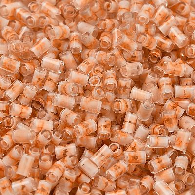 Двухцветный внутренний цвет прозрачный стеклянный бисер SEED-C004-05E-1
