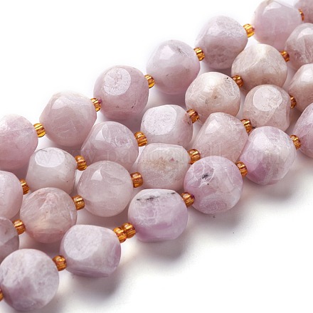 Natural Kunzite Beads Strands G-M367-06B-1
