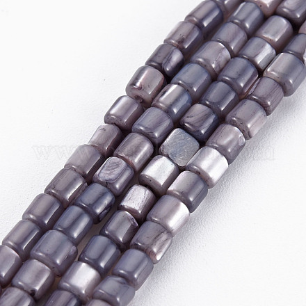 Coquille de trochid naturel / brins de perles de coquille de trocas SSHEL-N034-112-1