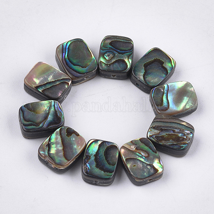 Abalone shell / paua shell beads SSHEL-T008-05-1