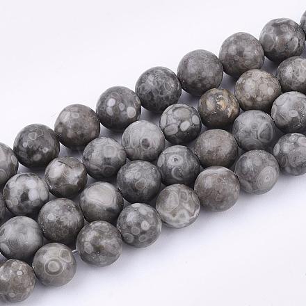 Chapelets de perles maifanite/maifan naturel pierre  G-Q462-10mm-21-1