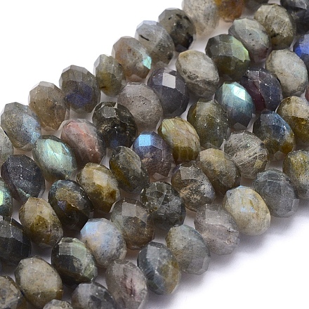 Natural Labradorite Beads Strands G-O170-59E-1