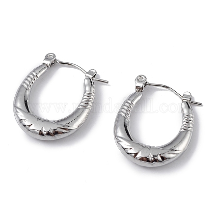 Pandahall posteriore orecchino risultati Stainless Steel Lever Back  Earrings Hoop Earrings-13x10mm : : Casa e cucina