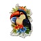 Acrylic Pendants, Animals, Toucan, 44x29x1.7mm, Hole: 1.6mm