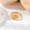 Brass Finger Rings for Women, Snail, Golden, Inner Diameter: 17.8mm
