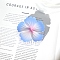 Flower Plastic Claw Hair Clips, Hair Accessories for Women & Girls, Light Sky Blue, 70x70x35mm