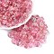 Picasso Transparent Glass Beads, Pumpkin, Hot Pink, 8.5~9mm, Hole: 0.9~1.2mm, About 750pcs/pound