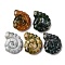 Natural Indian Agate Pendants, Top-Drilled Two-Sided Carved Nautilus, 29x25x9.5mm, Hole: 1mm