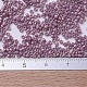 MIYUKI Delica Beads X-SEED-J020-DB0253-4