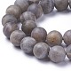Natural Labradorite Beads Strands G-G772-04-C-1