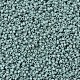 Perline miyuki delica piccole X-SEED-J020-DBS0374-3