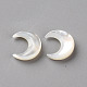 Natural White Shell Beads X-SSHEL-Q311-004A-01-1